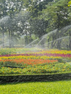 Sprinkler Flower Bed